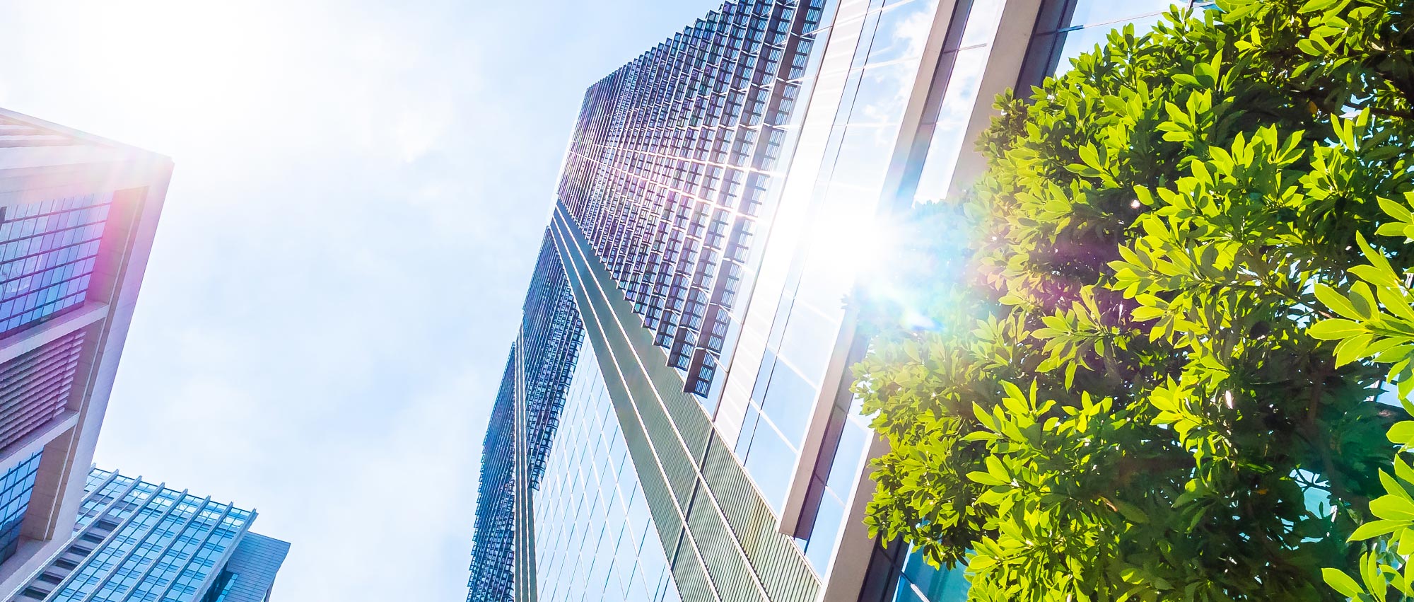 Sunlight Engineering Contact Us – Power Sunlight Engineering